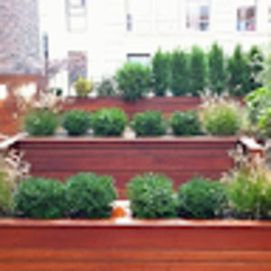 Meet your Posher, Sharon